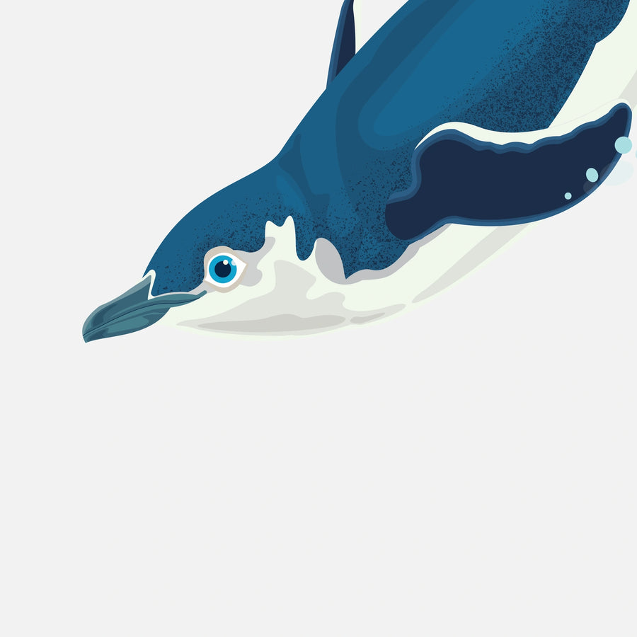 Artwork detail: straight-on close-up of the little penguin kororā head