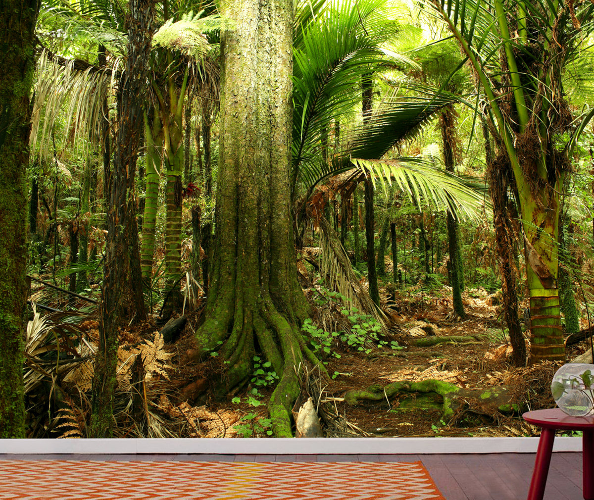 Enter the Forest mural with an illustrative crop frame showing a wall 300 cm wide and 240 cm high.