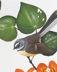 Fantail Kawakawa Bouquet