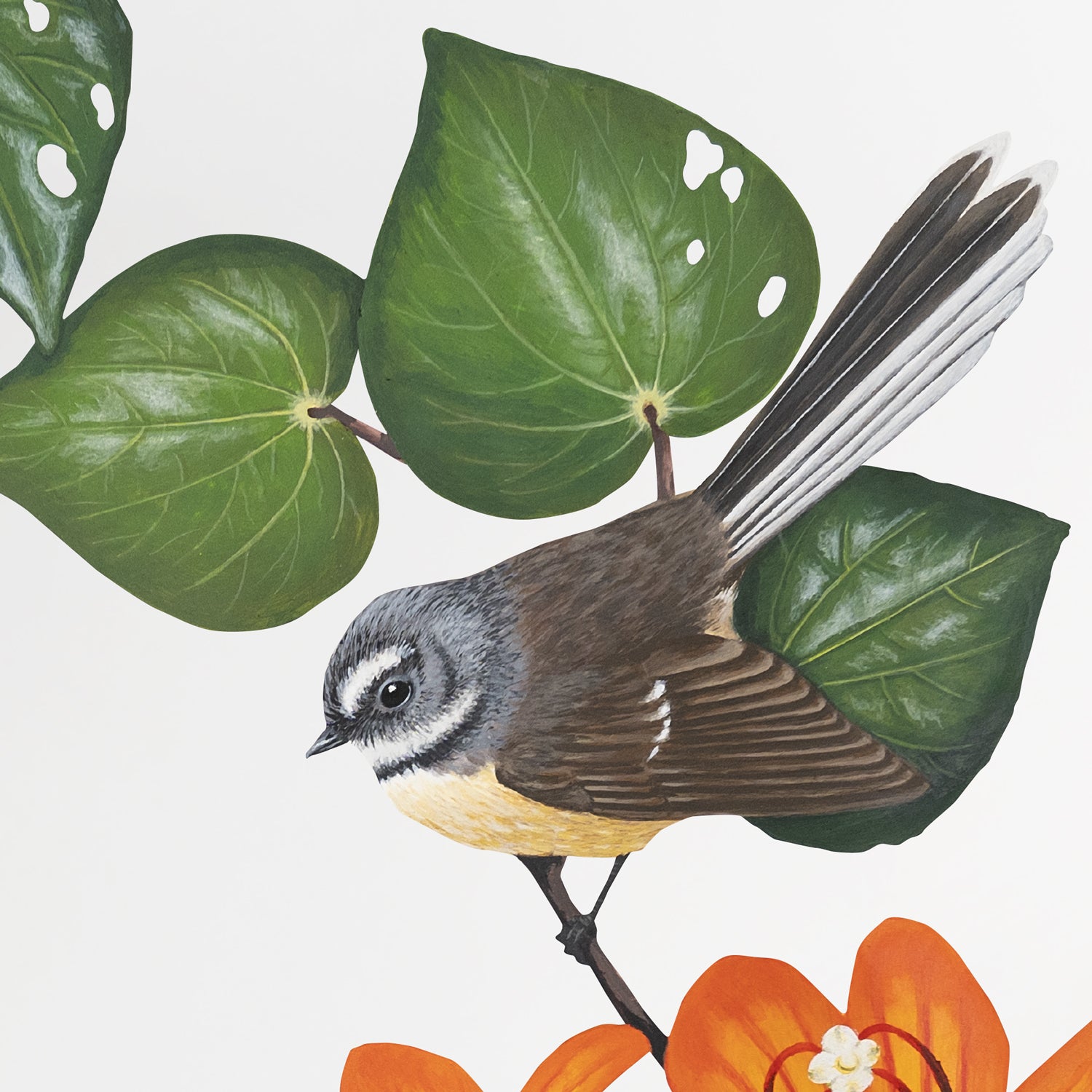 Fantail Kawakawa Bouquet