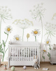 Field of Daisies