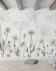 Field of Daisies