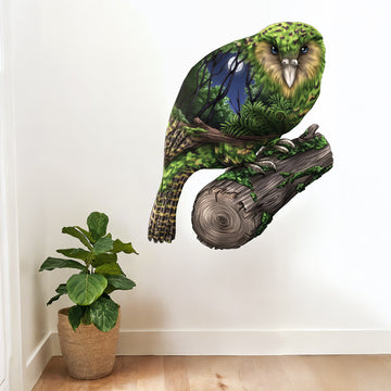 Kakapo Birds Eye View