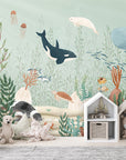 Kelp Forest