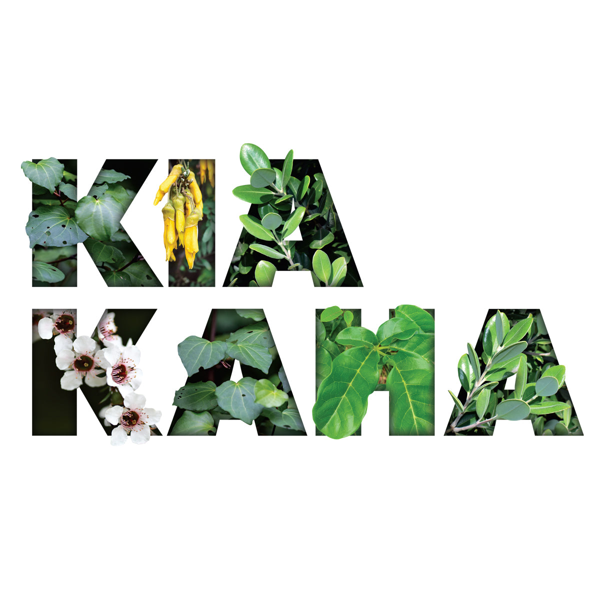 Kia Kaha
