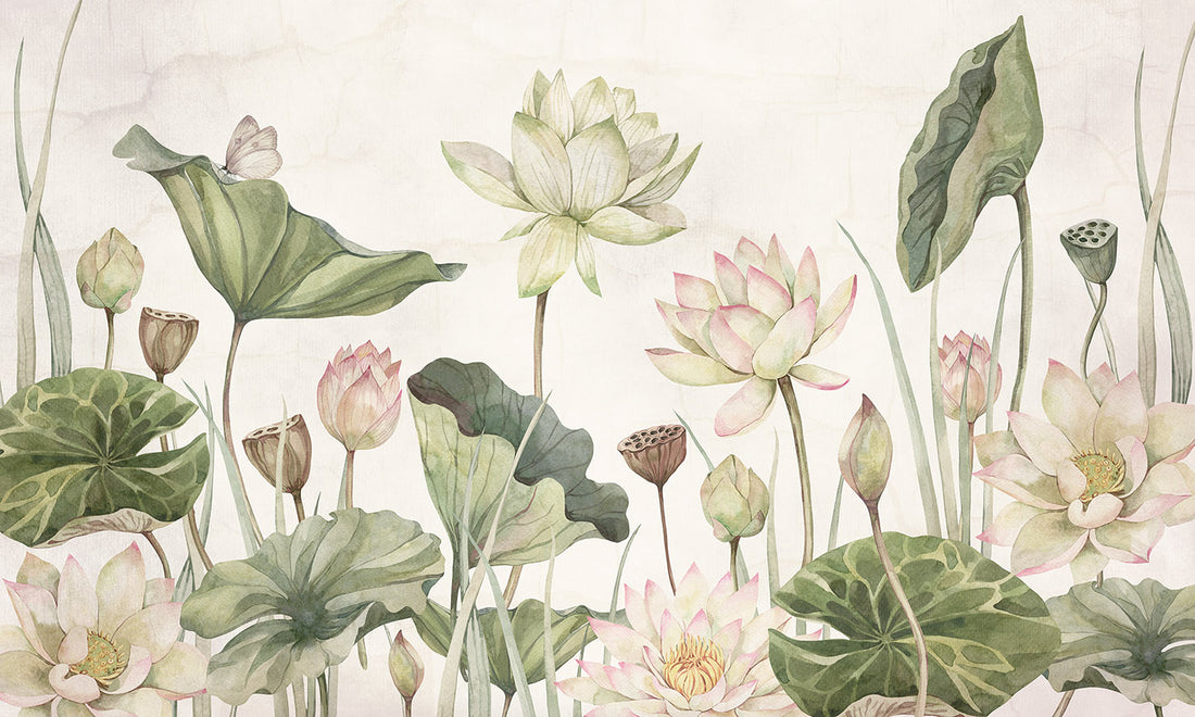 Lovely Water Lilies