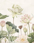 Lovely Water Lilies