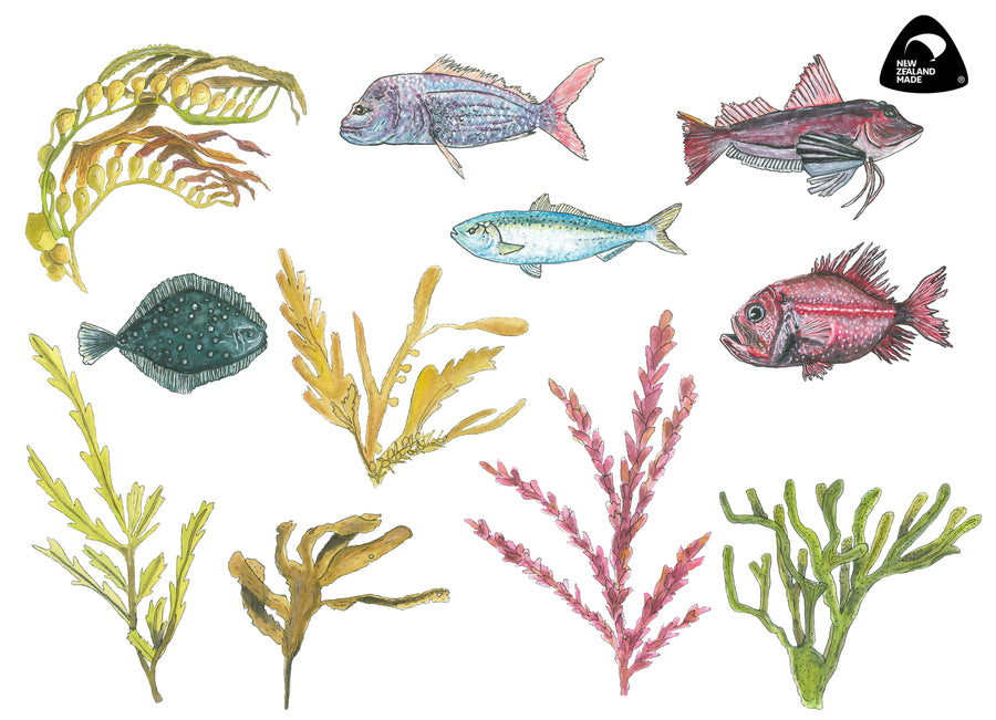 NZ Seaweed and Native Fish