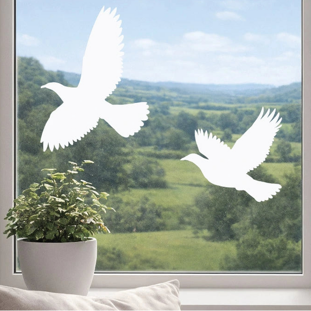 Window decals