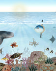 Ocean Lookbook