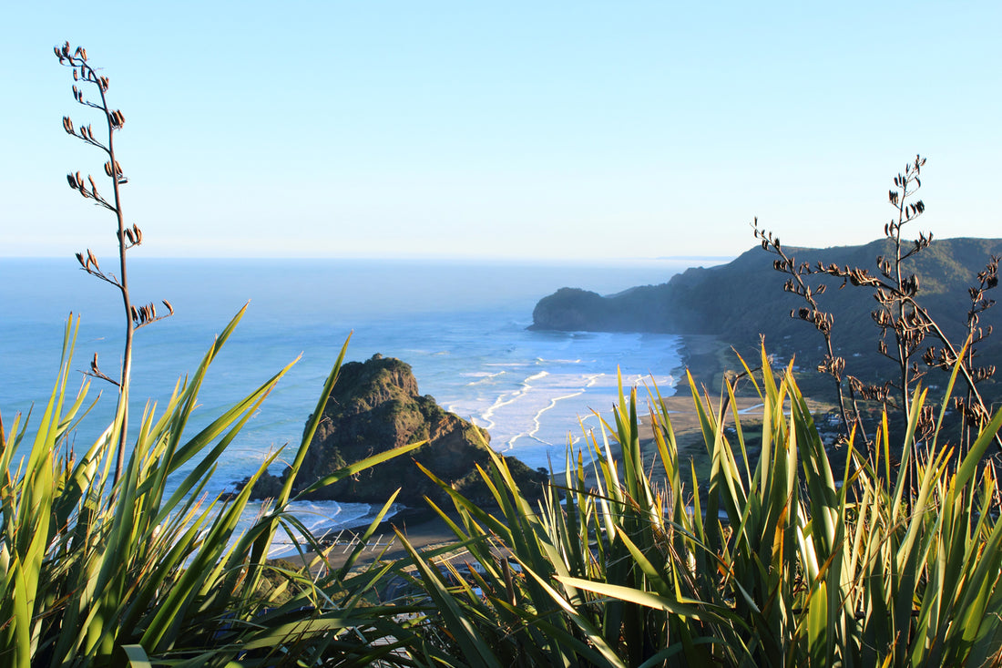 Piha Mural