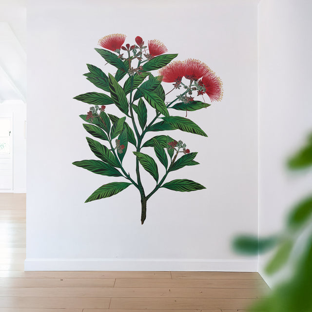 Pōhutukawa XL