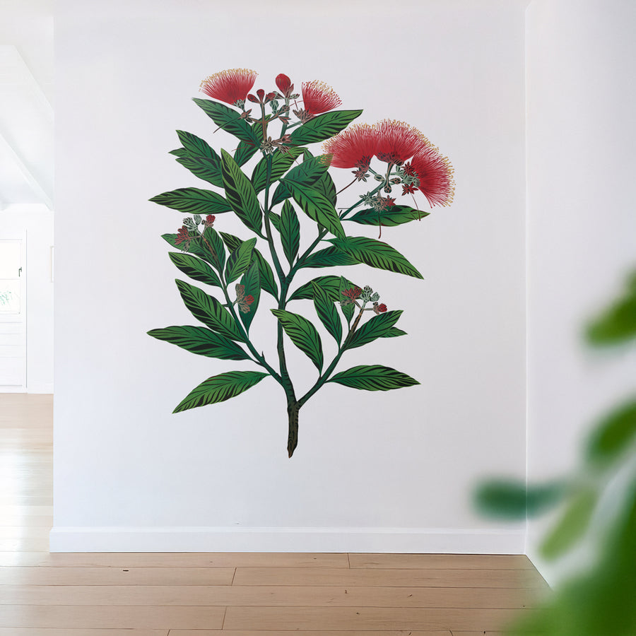 Pōhutukawa XL