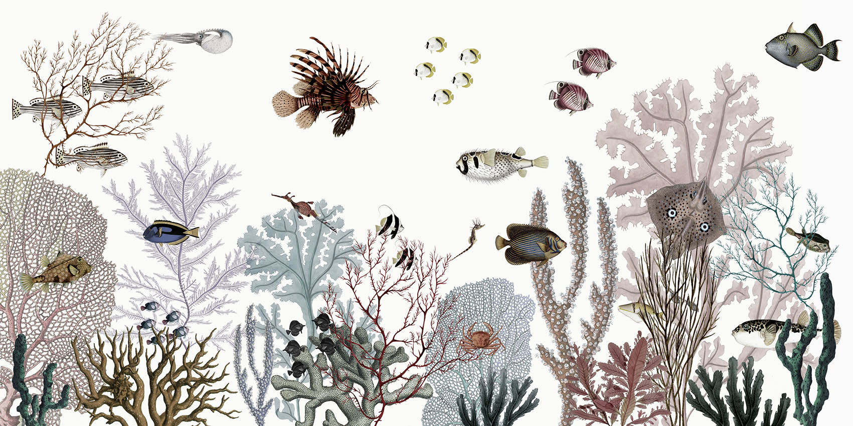 White Roses Reef Roaring Reef - White – YDS STUDIO