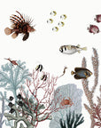 Roaring Reef - White