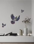 Kererū A2