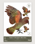 Kea A2