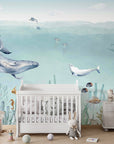 Secret Sealife
