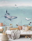 Secret Sealife