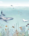 Secret Sealife