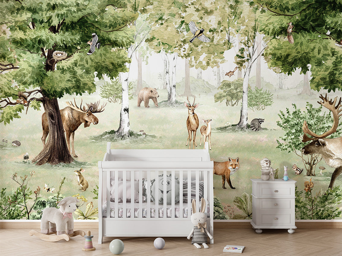 Woodland Wonders