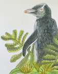 Yellow-eyed Penguin+ Rata