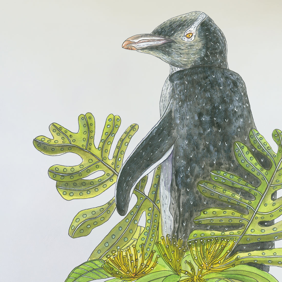 Yellow-eyed Penguin+ Rata