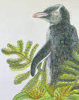 Yellow-eyed Penguin+ Rata