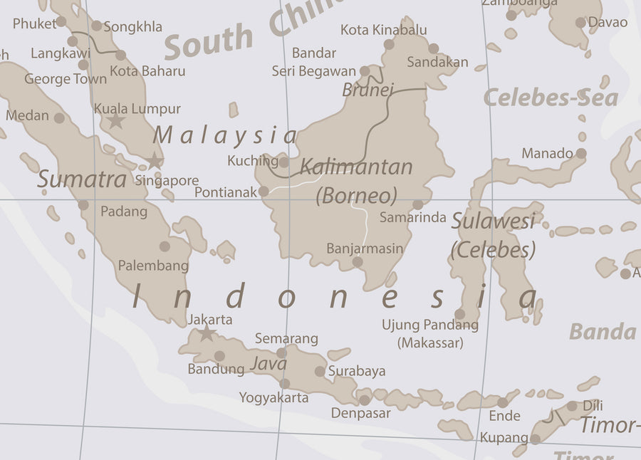 Neutral Tones World Map