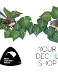 Fantails in Kawakawa