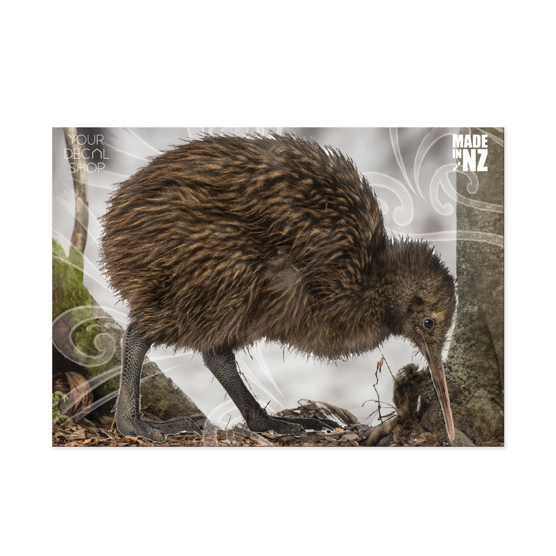 Kiwi Wall Decal