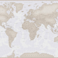 Neutral Tones World Map