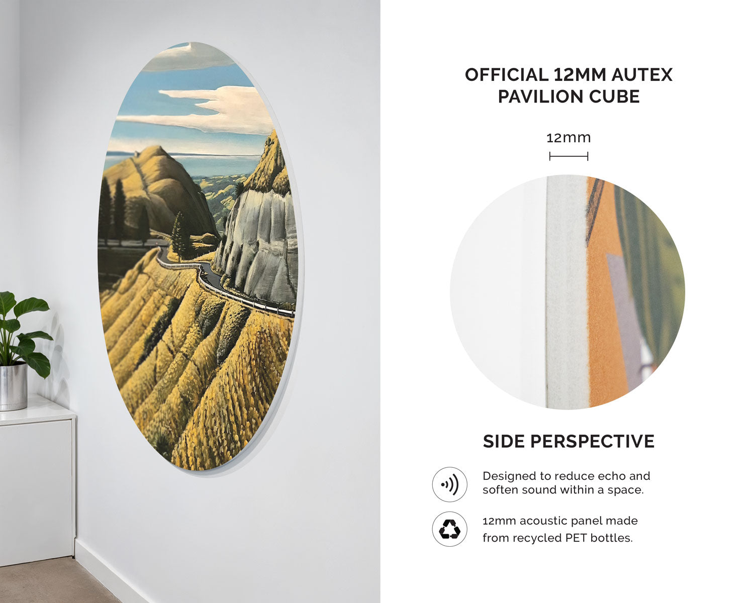 The Saddle Acoustic Wall Art
