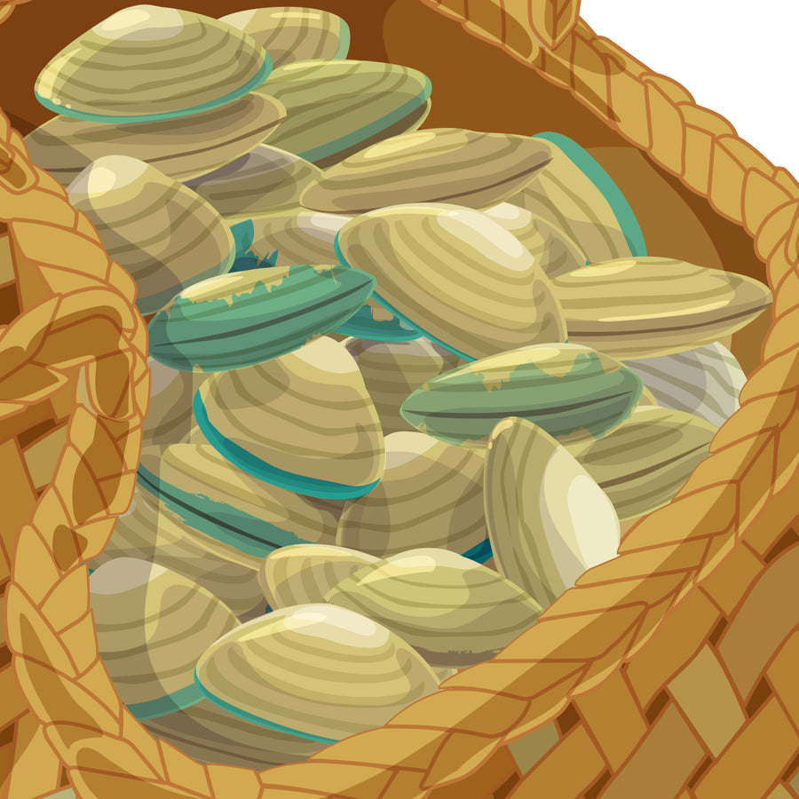 Artwork detail visualisation – Kaimoana Kete – shells – straight-on original artwork