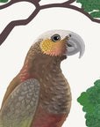 Artwork detail visualisation – Kākā and Branch – head and beak – straight-on original artwork