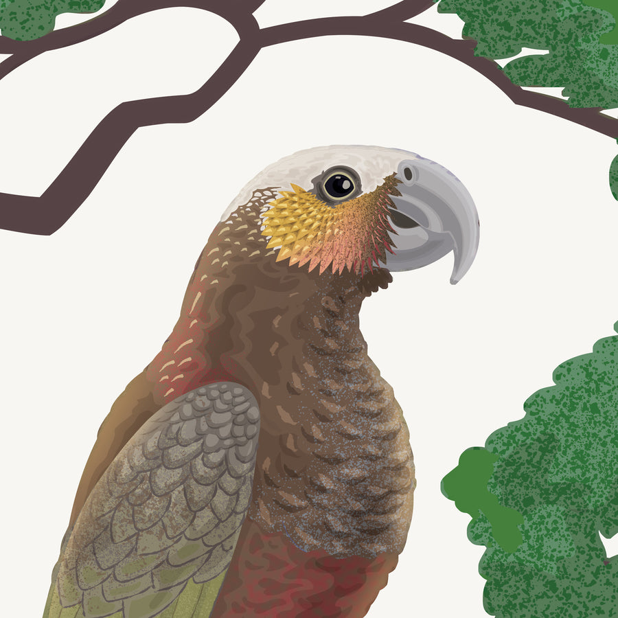 Artwork detail visualisation – Kākā and Branch – head and beak – straight-on original artwork