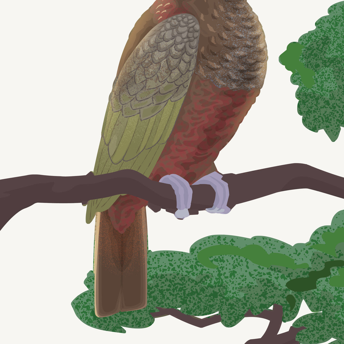 Artwork detail visualisation – Kākā and Branch – wing feet and tail – straight-on original artwork
