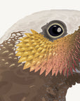 Artwork detail visualisation – Kākā and Branch – extreme close-up of eye and cheek feather texture
