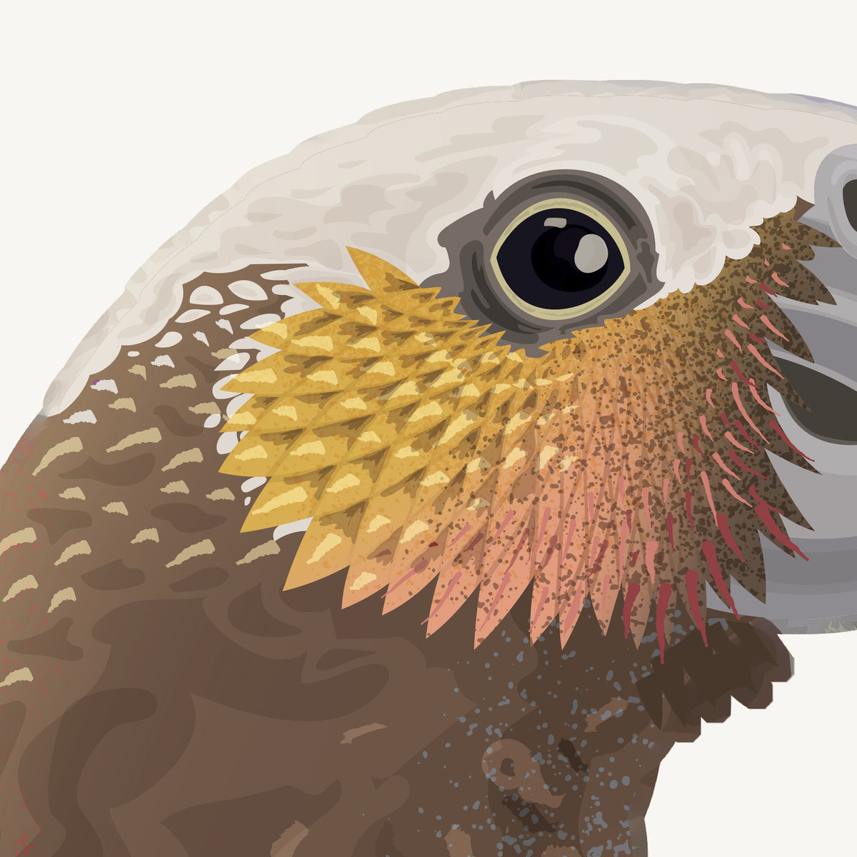 Artwork detail visualisation – Kākā and Branch – extreme close-up of eye and cheek feather texture