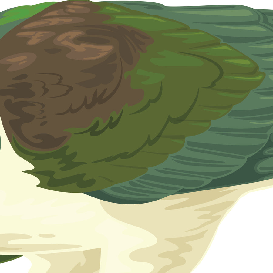 Artwork detail visualisation – Karaka Branch with Kererū – feather linework