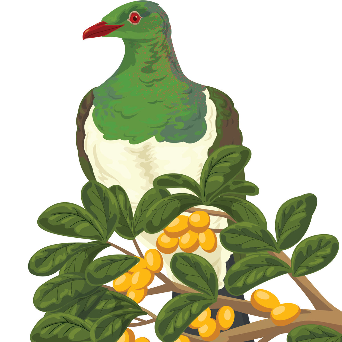 Artwork detail visualisation – Karaka Branch with Kererū – upper kereru – straight-on original artwork