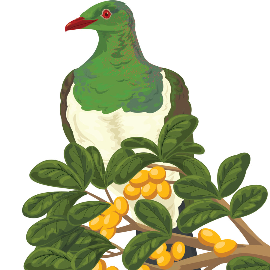 Artwork detail visualisation – Karaka Branch with Kererū – upper kereru – straight-on original artwork