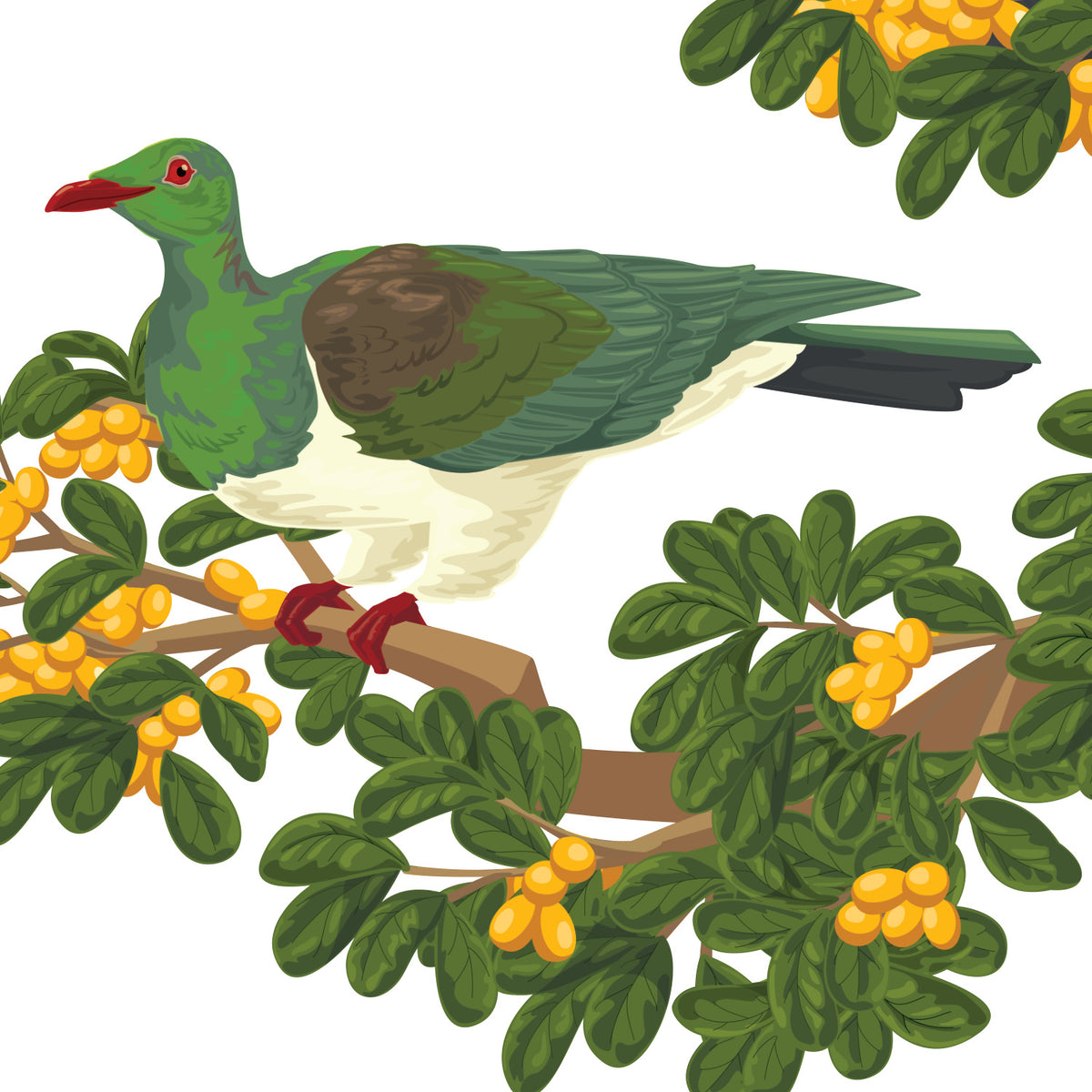Artwork detail visualisation – Karaka Branch with Kererū – lower kereru – straight-on original artwork