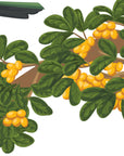Artwork detail visualisation – Karaka Branch with Kererū – fruit and leaves – straight-on original artwork