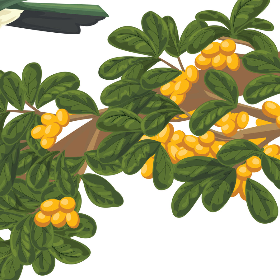 Artwork detail visualisation – Karaka Branch with Kererū – fruit and leaves – straight-on original artwork