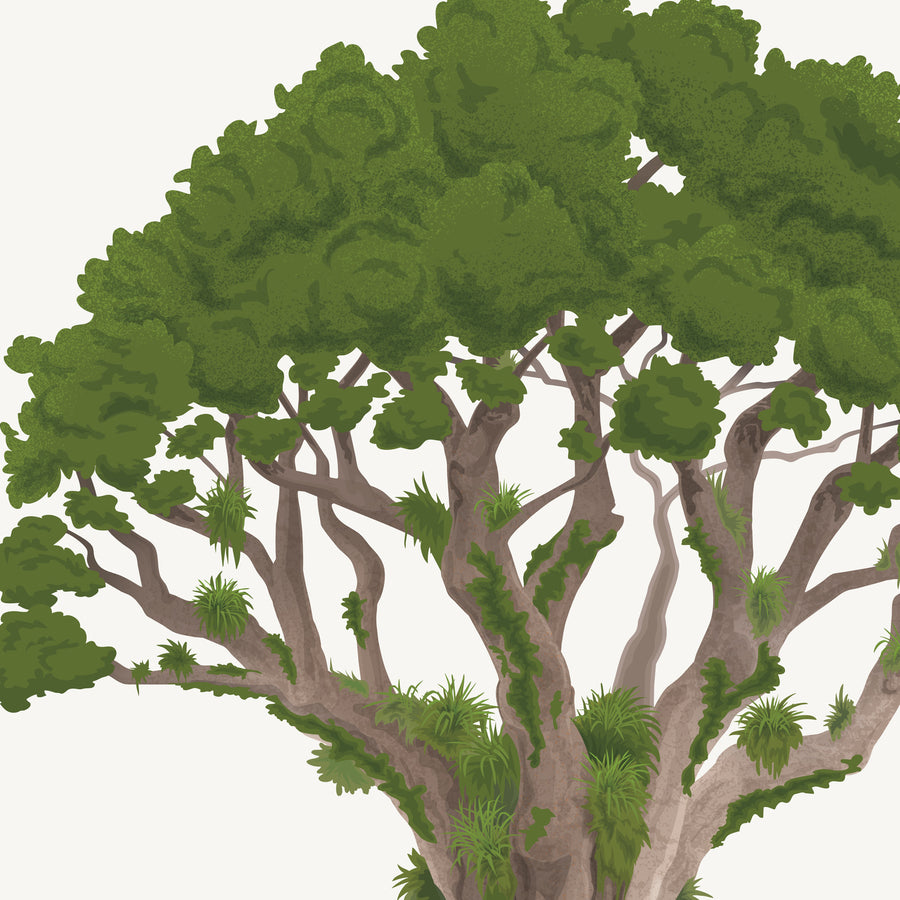 Artwork detail visualisation – Kauri with Waxeyes – canopy and branches – straight-on original artwork