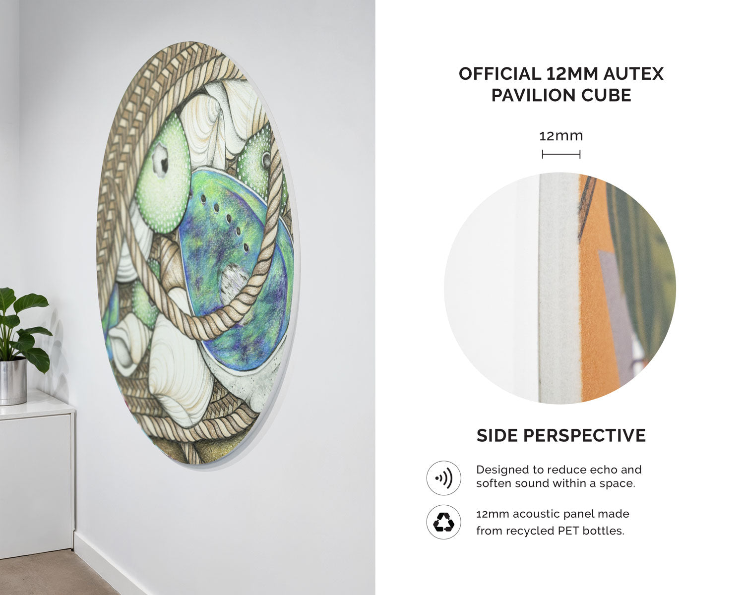 Pāua Shells and Kete Acoustic Wall Art