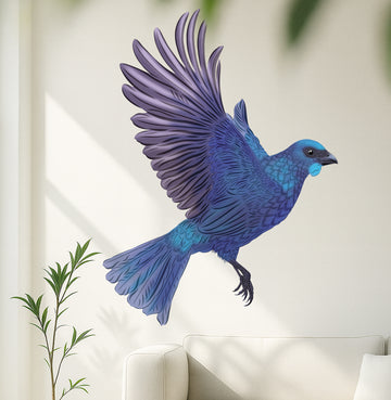 Kōkako XL