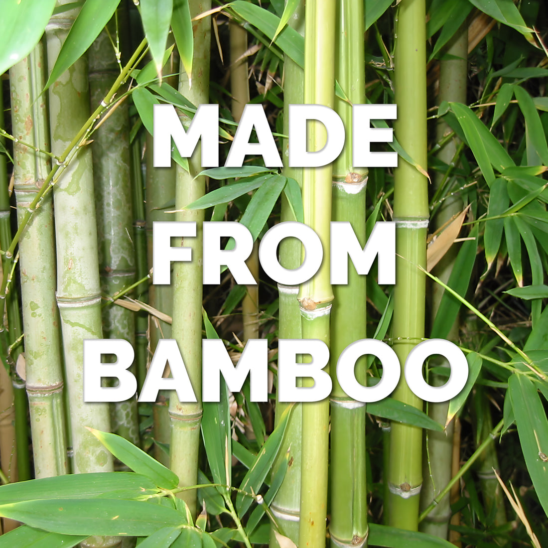 Hello - Bamboo
