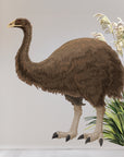 Moa wall decal
